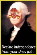 George Washington's sinuses